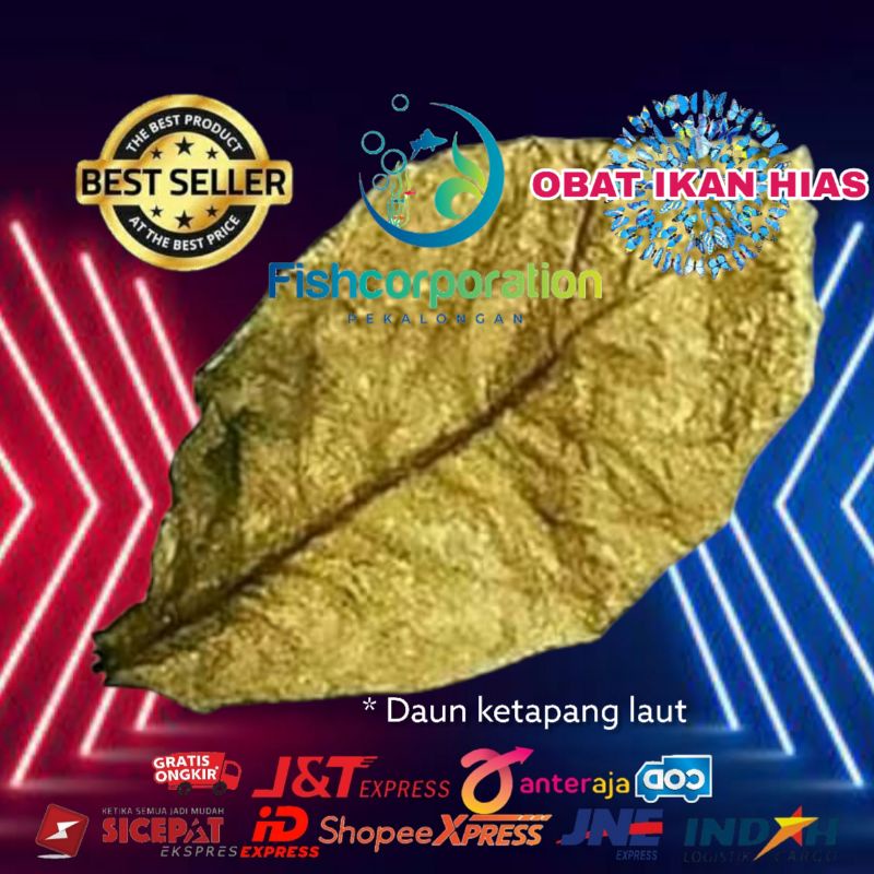 Ketapang laut / Daun ketapang / obat ikan / ph air ikan