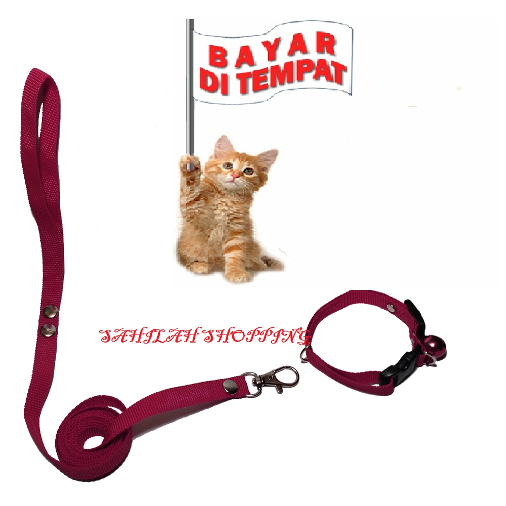 HARNES O TALI TUNTUN KUCING ANJING OTER MUSANG MONYET KELINCI TERMURAH ANEKA WARNA