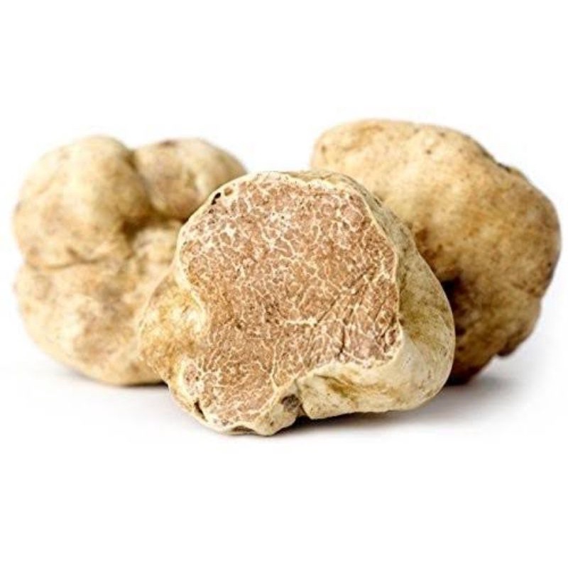 

Fresh White Truffle Mushroom from Italy