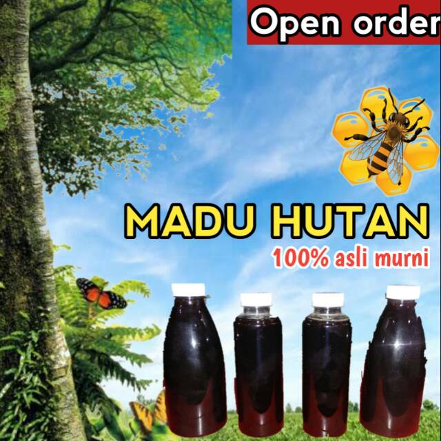 

Madu Hutan Lampung