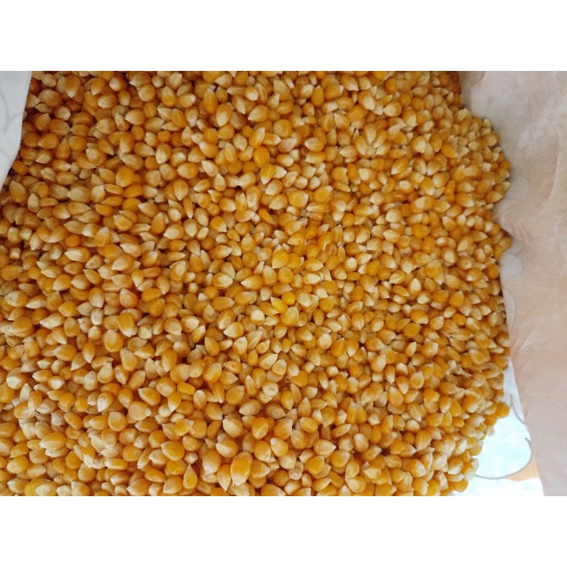

jagung pop corn