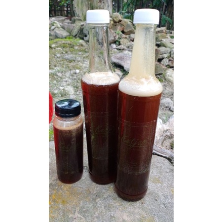 

madu trigona 450 ml