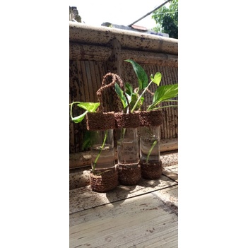 Vas Bunga Vas Gantung Pot Aestetic Pot Kaca Gantung Daur Ulang