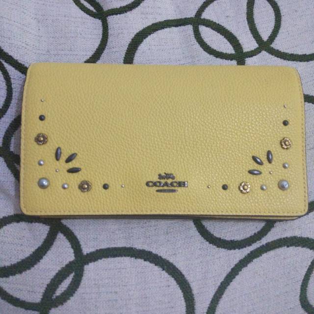 Coach hayden foldover crossbody clutch