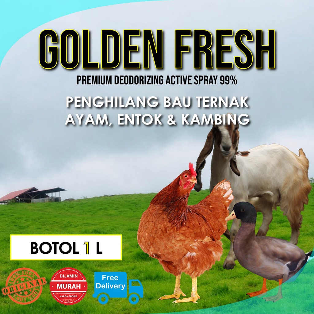 CAIRAN PENGHILANG BAU KOTORAN AYAM ENTOK KAMBING GOLDEN FRESH 1 LTR REFILL Obat Cairan Pembersih Bau