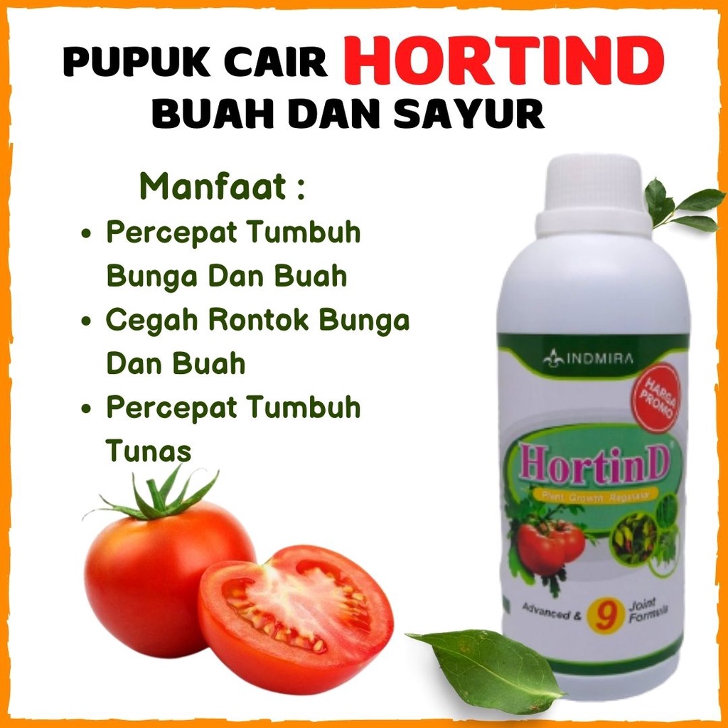 Pupuk Buah Tomat Cepat Besar, Pupuk Pelebat Tomat, Pupuk Tanaman Tomat Ceri