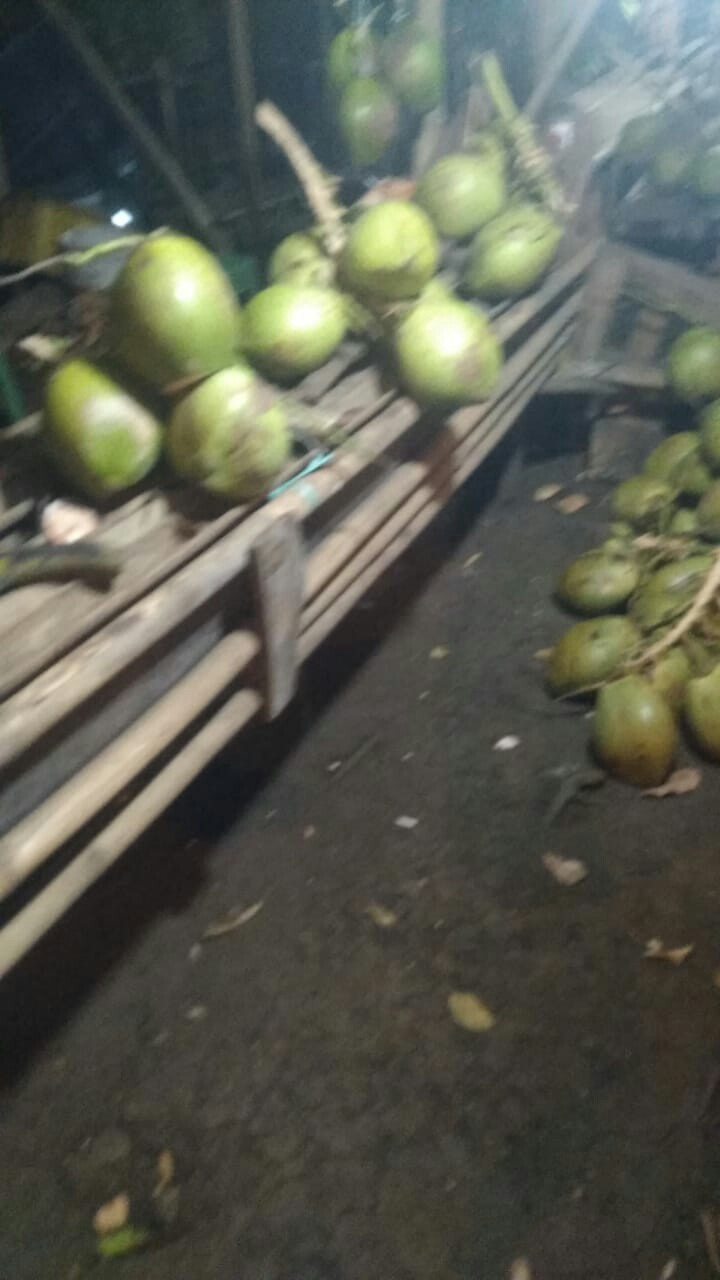 Batik Anak Sogan Genes Kemeja Batik Anak