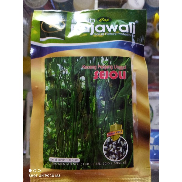 Benih Kacang Panjang rajawali 100 gr