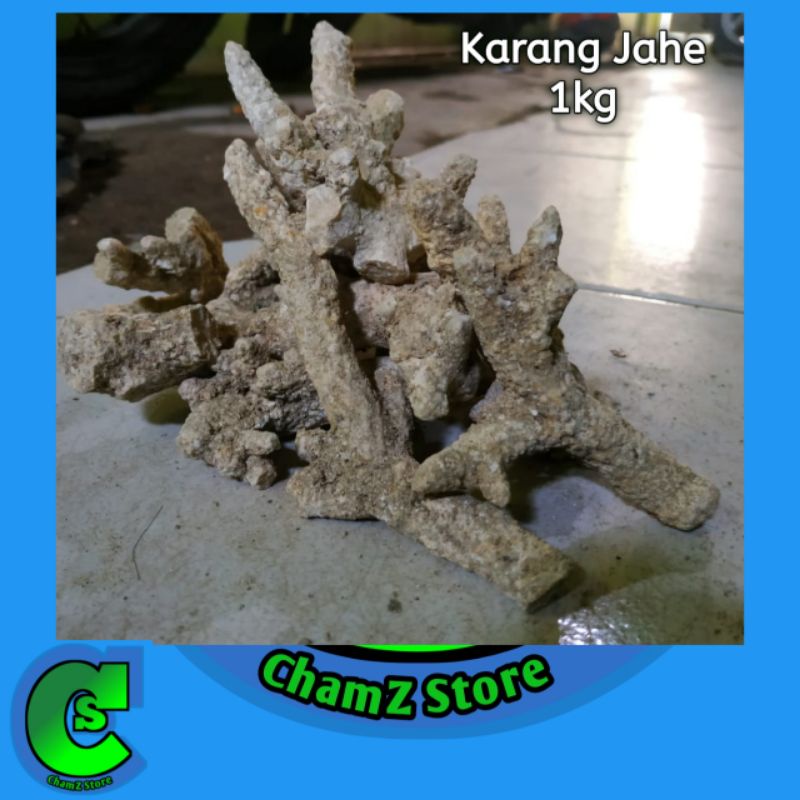 Karang jahe 1kg pLUS kantong waring siap pakai / batu karang jahe 1kg / karang jahe