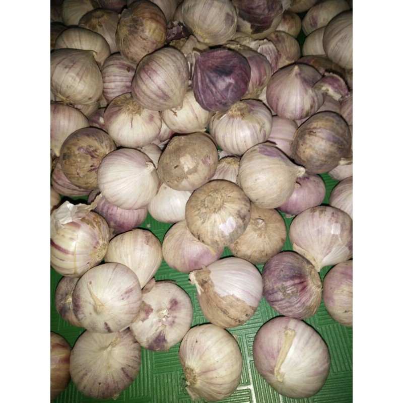 

Bawang Putih Lanang;