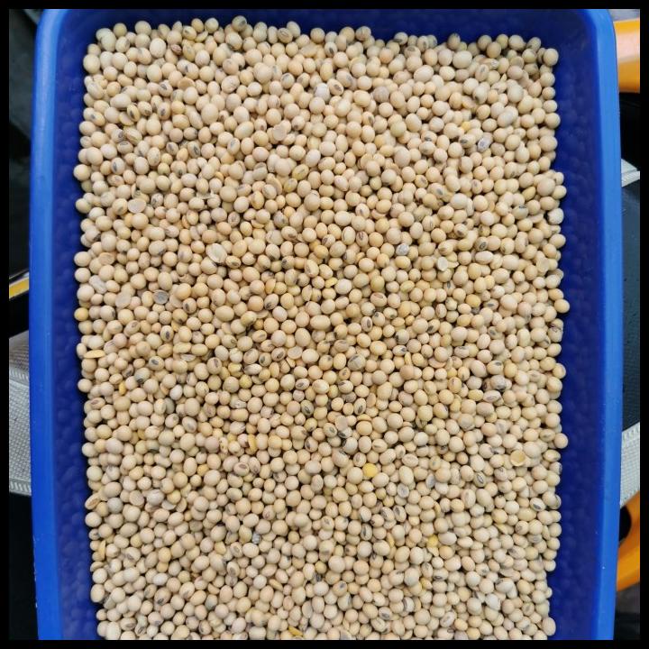 

DISKON TERBATAS !!! KACANG KEDELAI AMERIKA MATA HITAM KEMASAN 1 KARUNG/ 50KG TERLARIS