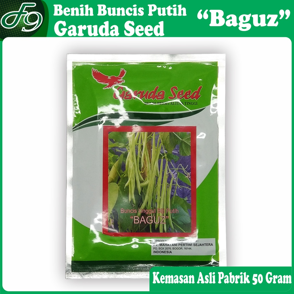 Benih Buncis Unggul Biji Putih Baguz Garuda Seed 50 Gram