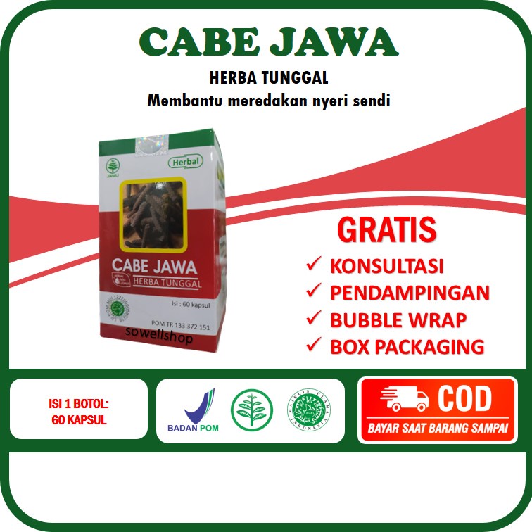 Cara Mengobati Flu dengan Cepat: Obat Alami Apa yang Bisa Membantu?