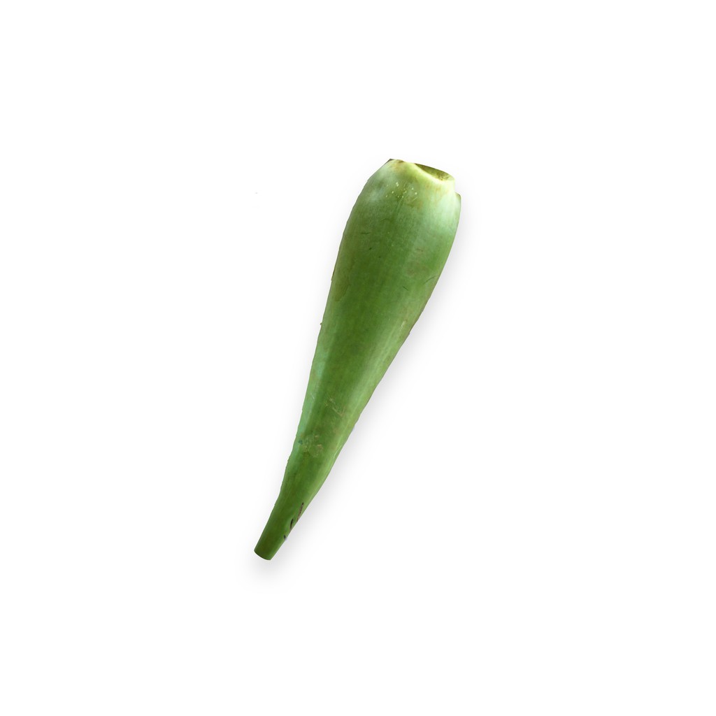 

SAYUR ORGANIK Lidah Buaya