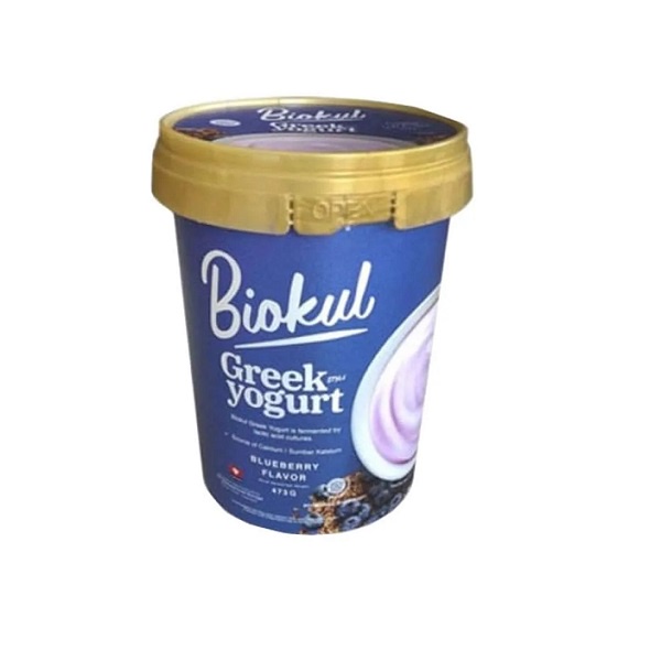 

BIOKUL GREEK YOGURT BLUEBERRY 473 GR