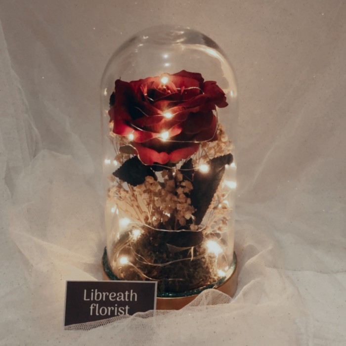 

Flower Dome Red Rose Gift
