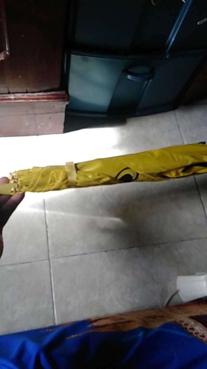 Payung Anak [ada Kuping] Model Hewan Warna-warni Lucu