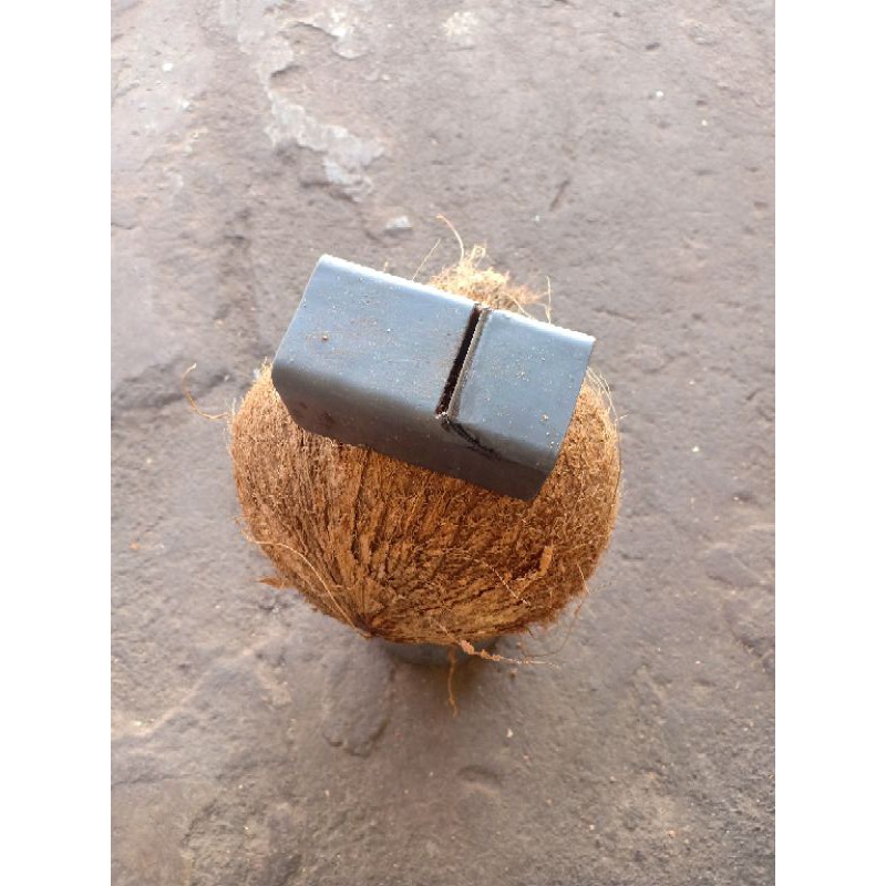 serut pembersih sabut BONKLA/bonsai kelapa