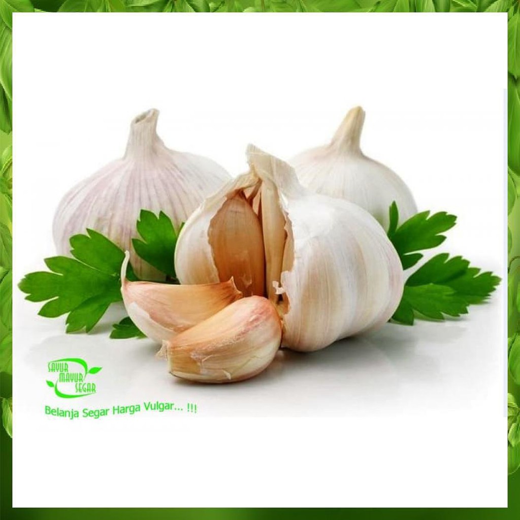 

BAWANG PUTIH CURAH BAGUS DAN SEGAR KEMASAN 500 GR / 0.5 KG