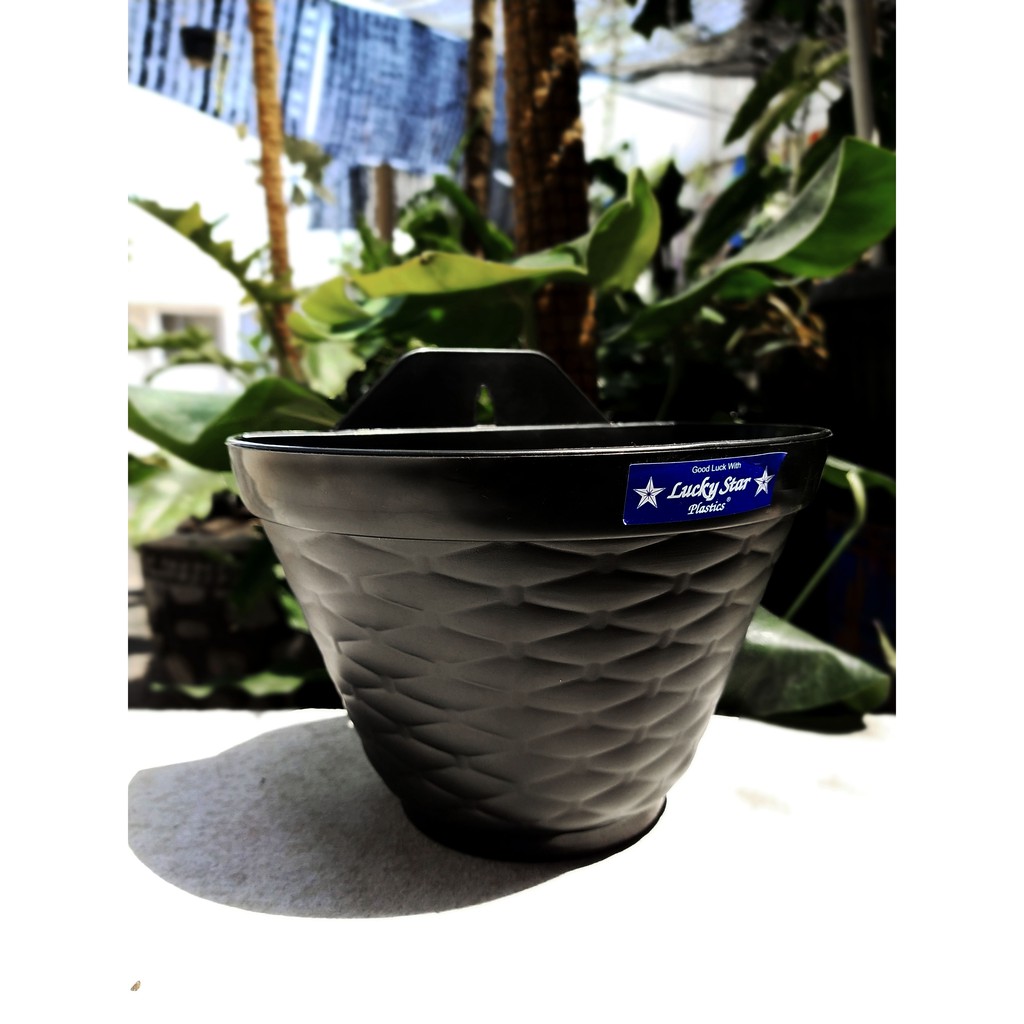 Pot gantung tanaman dahlia ( L : 19,5 cm )