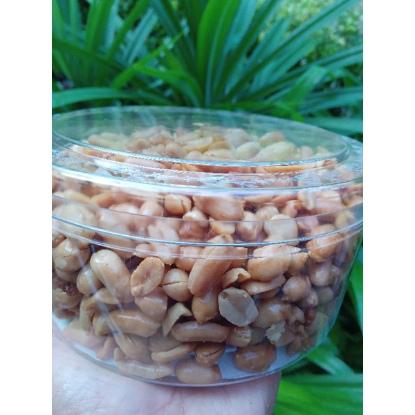 

kacang bawang