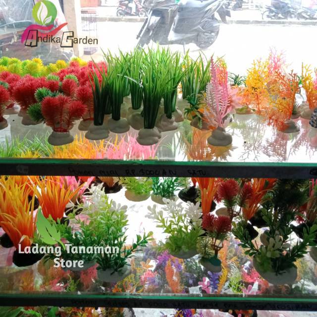 Paketan tanaman hias mini plastik aquarium super murah