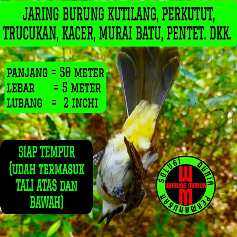 Jala burung kutilang 50x5 perangkap burung perkutut jebakan burung kacer trucuk jaring burung siap p