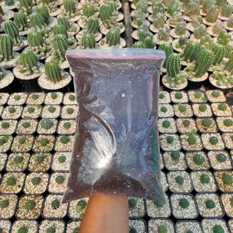 Media Tanam Kaktus Sukulen Aglonema Bonsai Monstera Aroid Fermentasi Super Siap Pakai Pasir Malang S