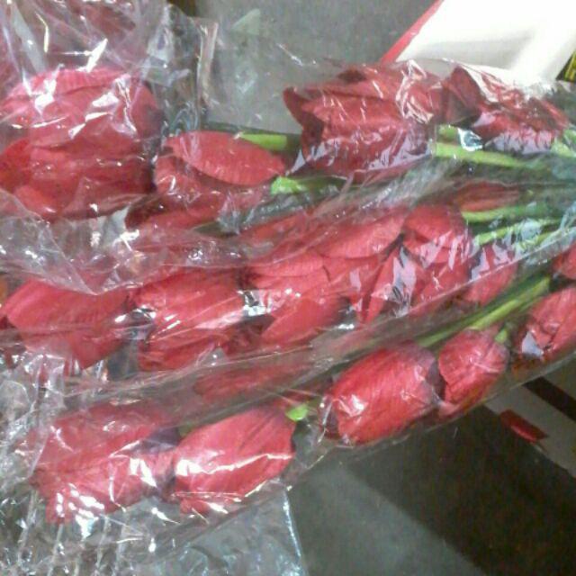 Bunga Tulip Panjang Dekorasi