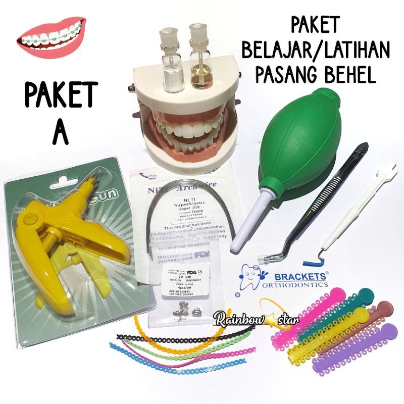 Paket Belajar / Latihan Pasang Behel Dengan Patung Gigi