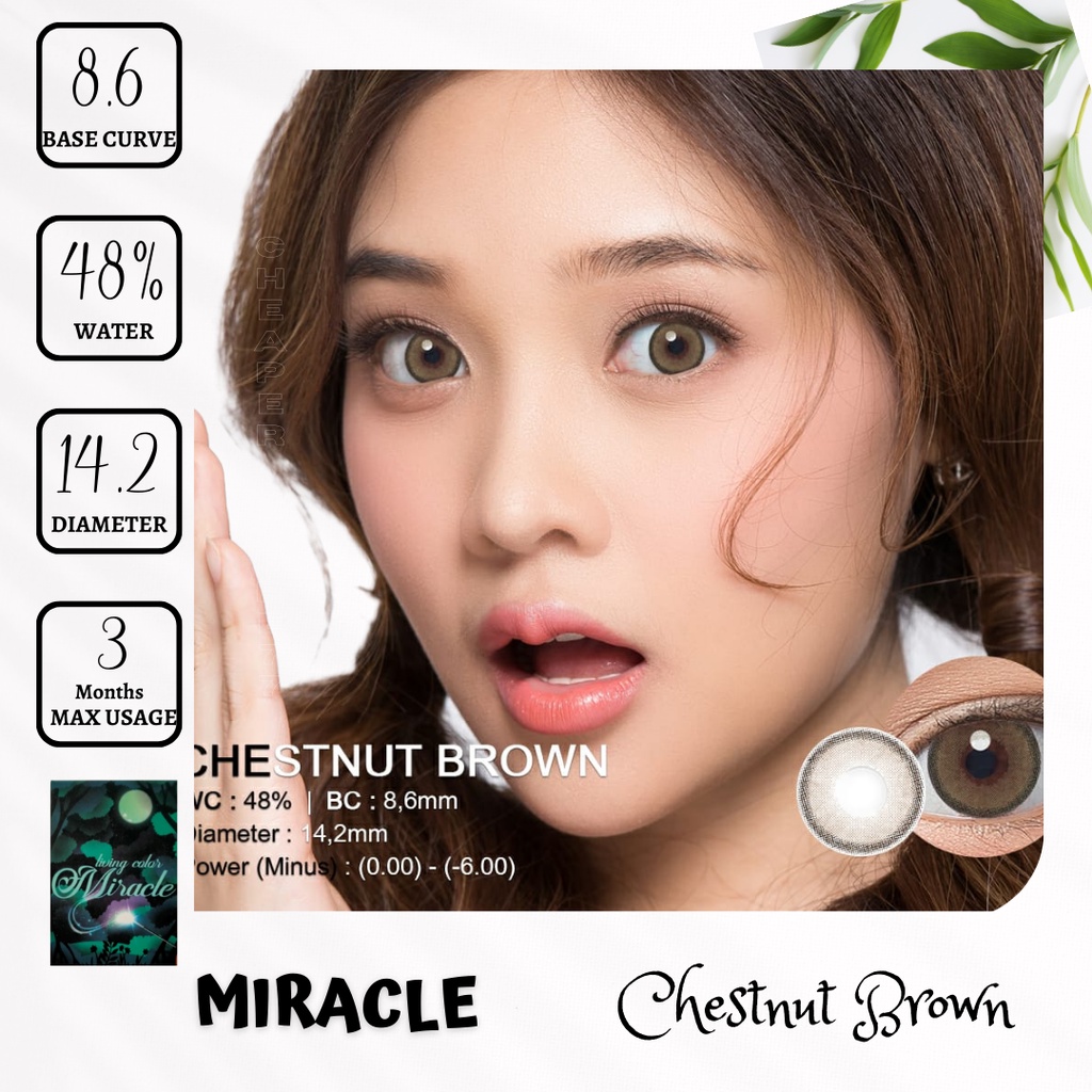 SOFTLENS LIVING COLOR - MIRACLE 14.20 MM MINUS -3.00 SD -6.00