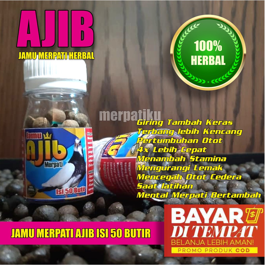 JAMU MERPATI KOLONG DAN BALAP AJIB 50 BUTIR / JAMU MERPATI KOLONG / JAMU MERPATI BALAP