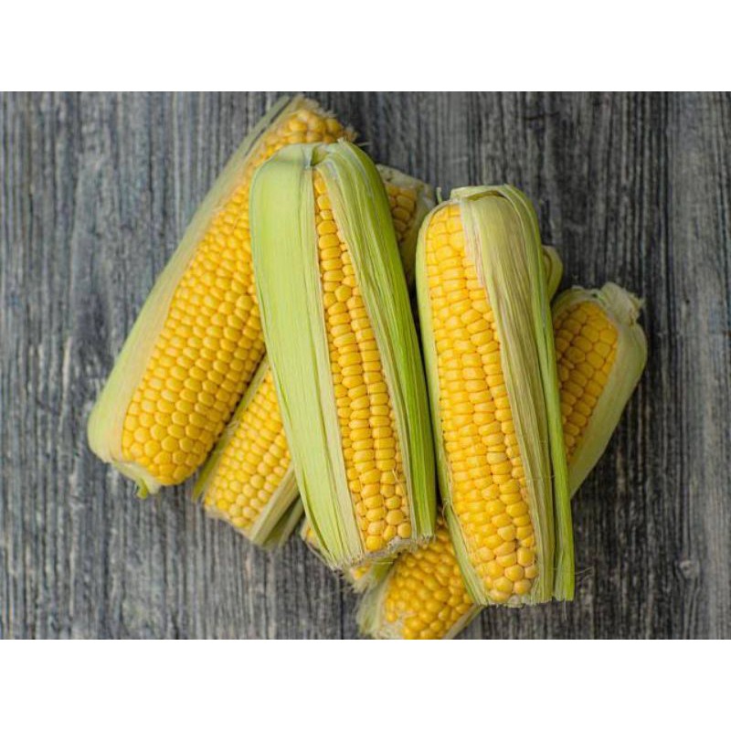 

sayuran jagung