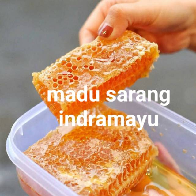 

Madu Sarang Melifera