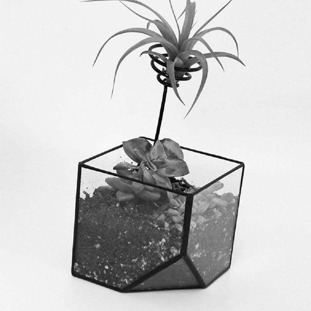 [Elegan] Air Plant Pot Stand Mini Metal Vase Holder Decor Display Rak Wadah