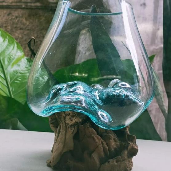 Aquarium Cupang Aquarium Mini Aquarium Unik Cupang Kaktus Murah Unik Am820842