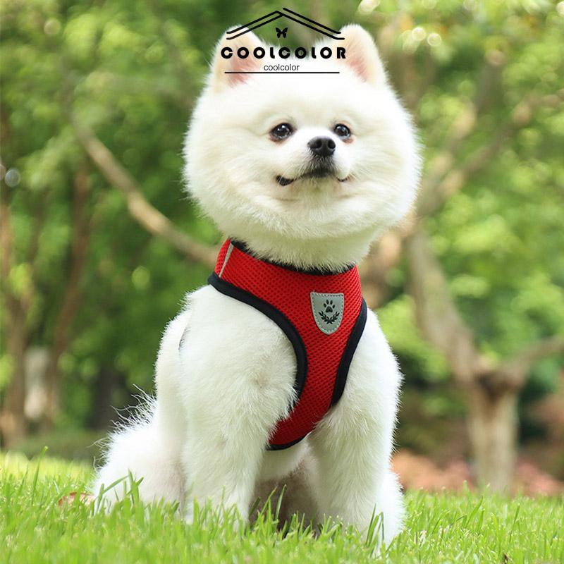 CODPet Chest Back Leash Mesh Strip Reflektif Crossing Road Perlengkapan Hewan Peliharaan tahan aus- cl