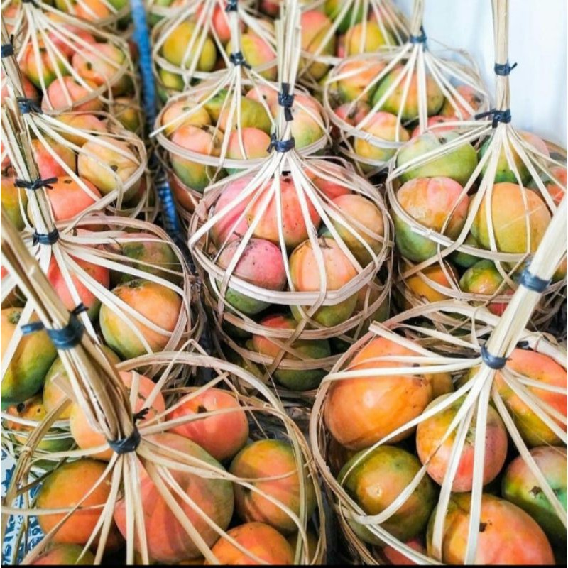 Mangga Gincu Majalengka