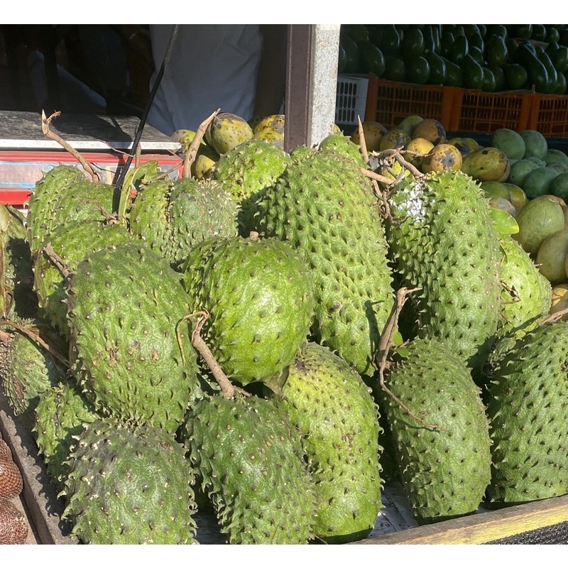 

Sirsak 1 Buah