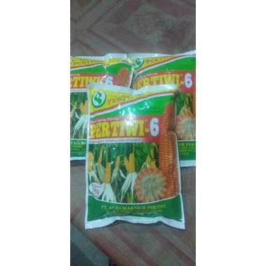 Benih Jagung Pertiwi 6 Hibrida