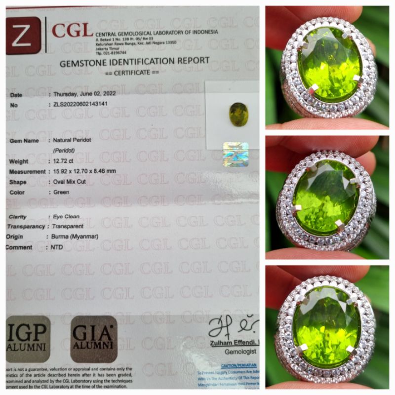 Natural Green Peridot Jumbo HQ Sertifikat 12.72 crt