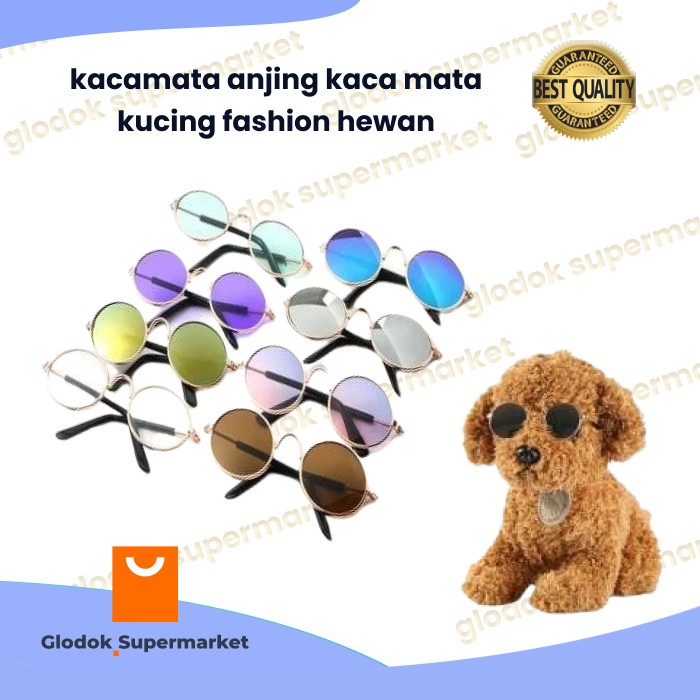 kacamata anjing kaca mata kucing fashion hewan