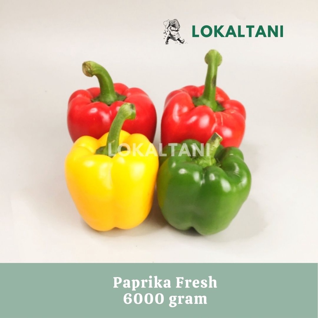 

Paprika Merah / Kuning / Hijau / Paprika Fresh