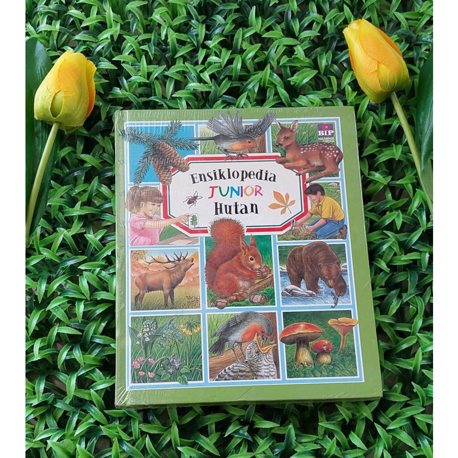 Buku Ensiklopedia Junior Hutan Original