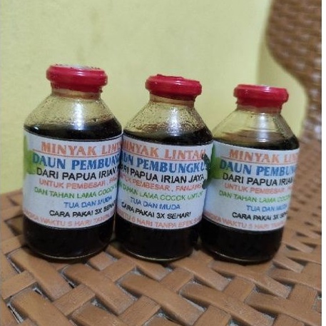 Ramuan Herbal alami Minyak Lintah daun pembungkus Papua
