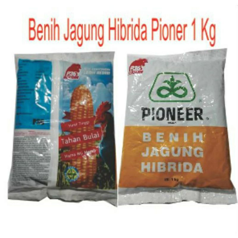 Benih Jagung Hibrida Pioneer