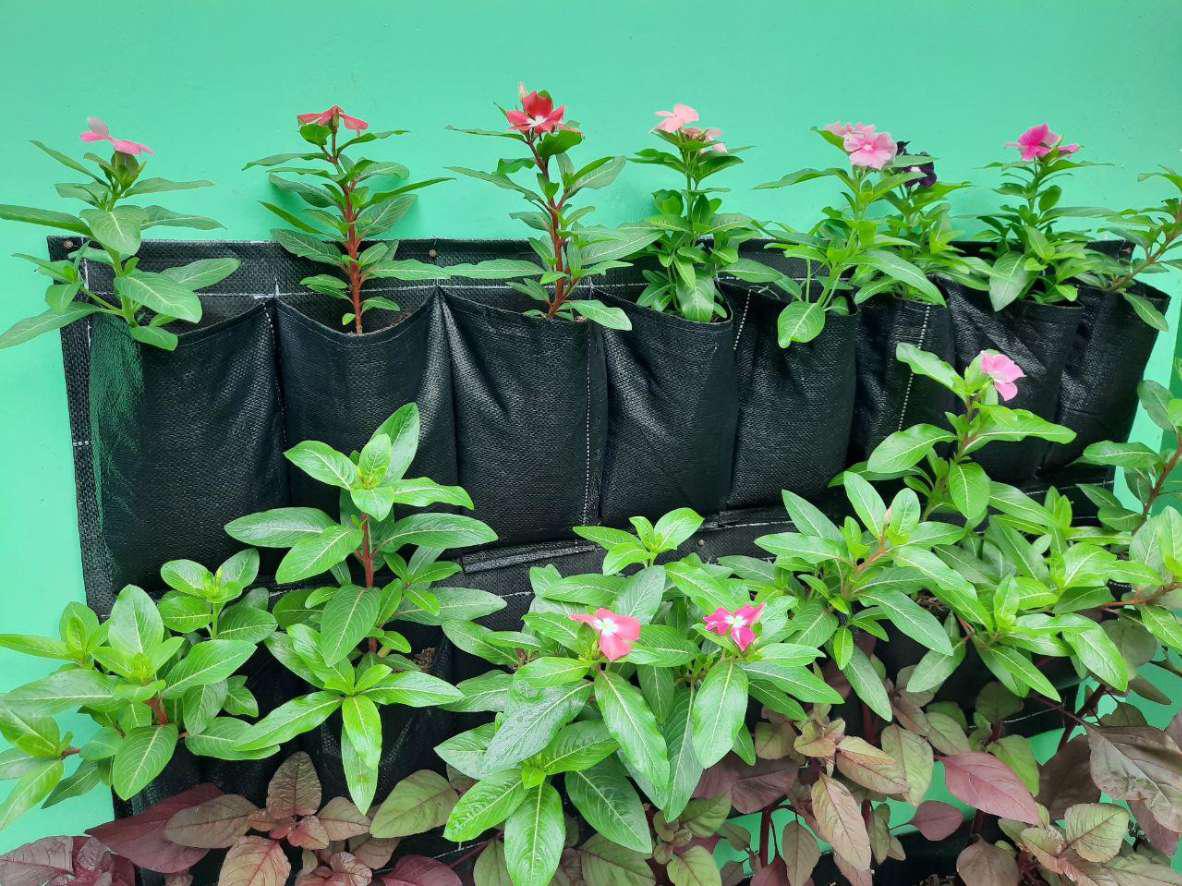 Planter Bag Dinding 16 Kantong