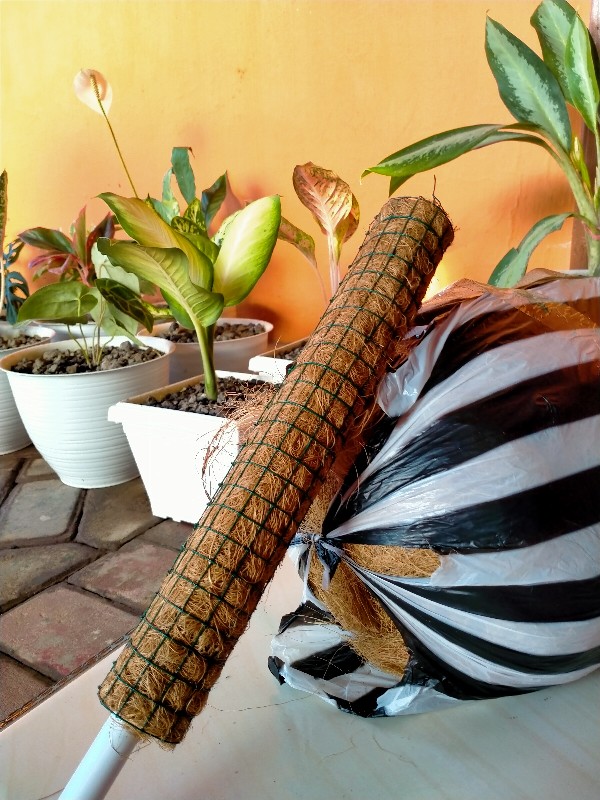 Cocofiber 1kg Serabut Kelapa Ax