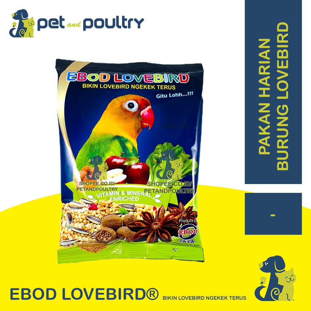 EBOD LOVE BIRD - PAKAN BURUNG LOVE BIRD / MAKANAN BURUNG LOVE BIRD EBOD / PAKAN LOVEBIRD