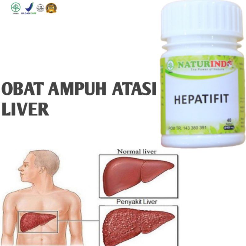 Obat Herbal Sakit Liver Obat Sakit Liver Obat Herbal Perawatan Liver